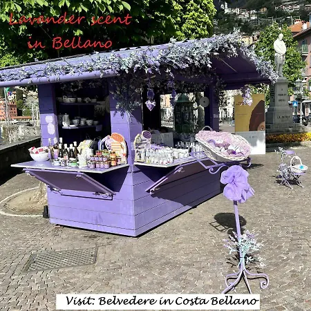 아파트 Belvedere In Costa - View
